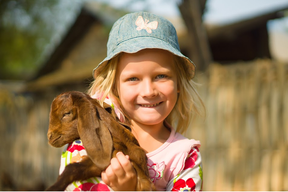 best-baby-goat-names